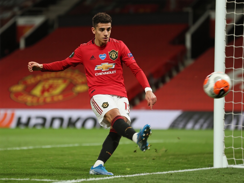 市值高达 市值高达